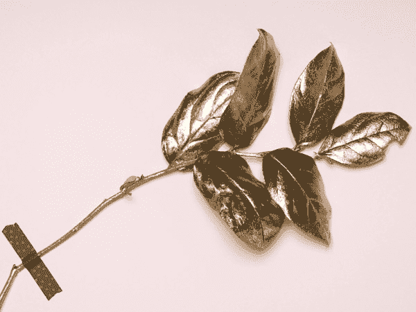 免费ddos在线攻击测试网站